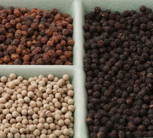 #TasteZen Pepper Tasting 101